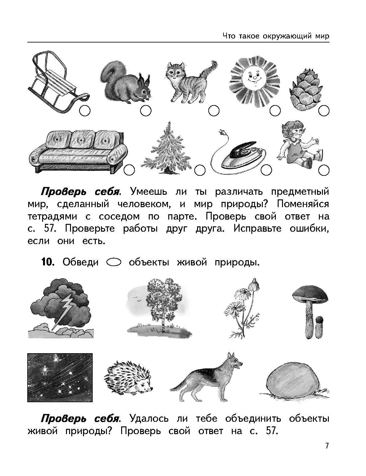В. Тела природы огромные большие маленькие. Федиенко. Мир природы живая и неживая рабочая тетрадь. Окружающий природный мир 6 класс 8 вид.