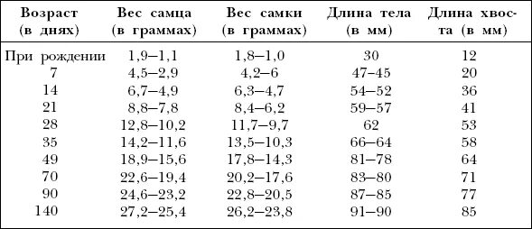 Определить возраст книги. Вес джунгарского хомяка по возрасту таблица. Вес декоративной крысы по возрасту таблица. Возраст хомяка по весу. Как определить Возраст хомяка по весу.