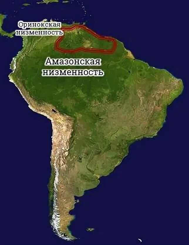 Амазонская низменность на карте Южной Америки. Амазонасая низменности на карте. Асазонская низменностьна карте. Оринокская равнина на карте Южной Америки.