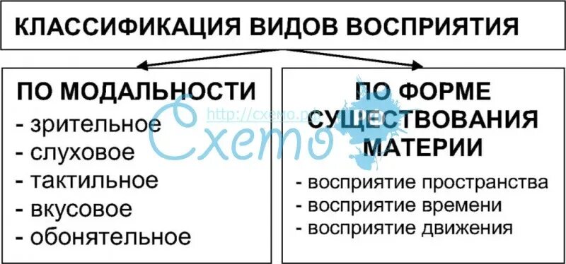 Функционирование восприятия. Классификация видов восприятия. классификация видов восприятия схема. функции восприятия в психологии. виды восприятия 2 классификация.