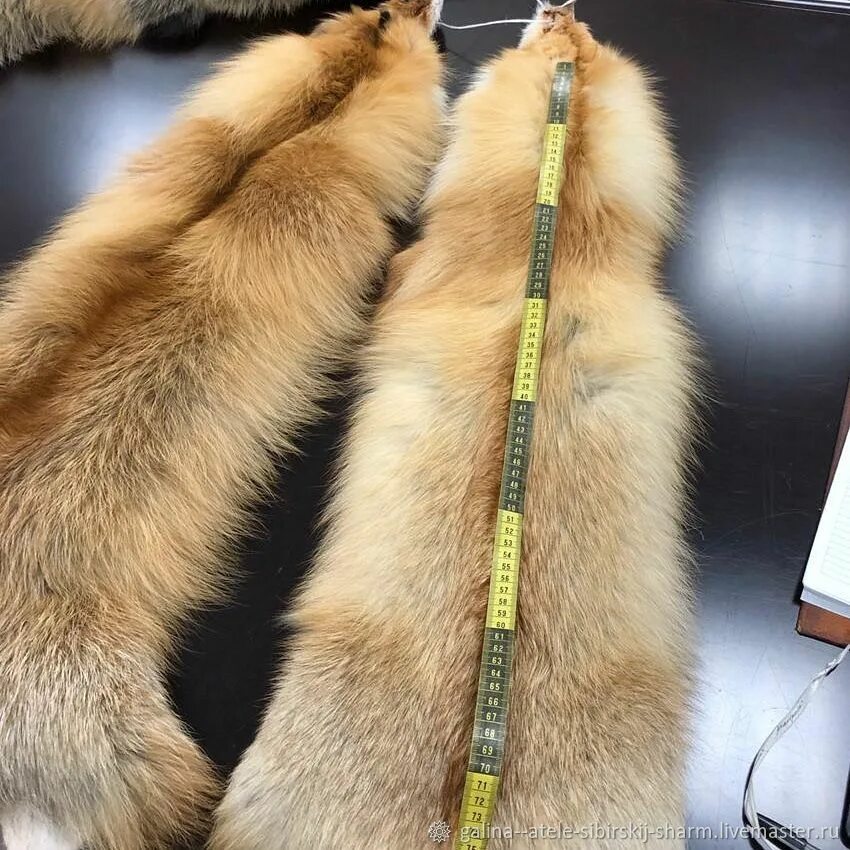 Пушнина сибири. Пушнина западной сибири. Пушнина сибири. Сибирские меха. Сибирские меха.