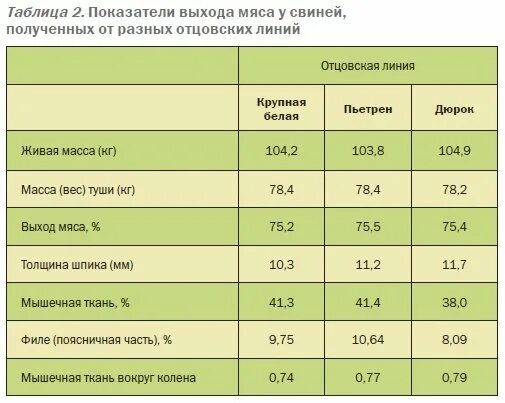 Выход мяса свиньи от живого веса таблица. Живой вес свиньи таблица выхода мяса. Выход мяса свинины от живого веса таблица. Таблица выхода мясо КРС живого веса.