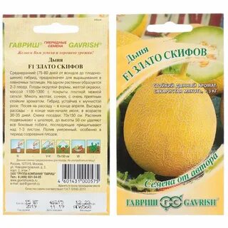 Дыня злато скифов