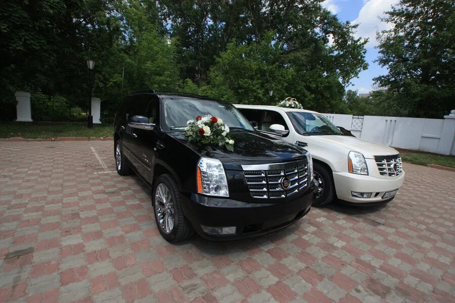 Кадиллак эскалейд 2020 белый. Аренда cadillac. Кадиллак эскалейд на свадьбу. Машина кадиллак белый. Кадиллак эскалейд платинум.