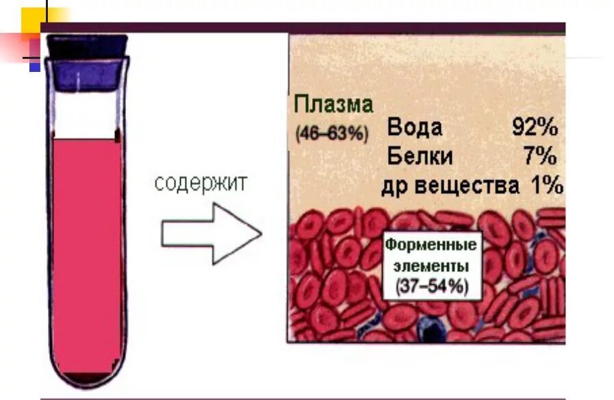 В состав плазмы крови входят белки. Биохимический состав плазмы крови. Биохимический состав плазмы крови человека. Химические компоненты плазмы крови. Химическое соединение крови.