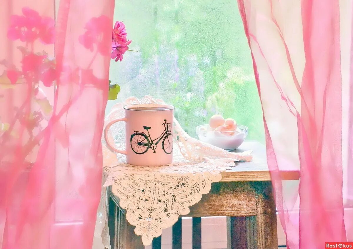 Картинка утро доброе розовое. Доброе утро в розовом цвете. Доброе утро в розовых тонах. Цветы нежные уютные. Нежные цветы на окне.