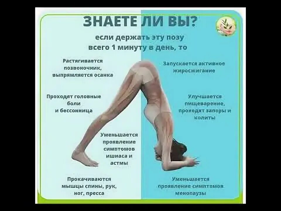 Держи эту позу. Знаете ли вы что если держать эту позу. Урдхва мукха шванасана. Держи эту позу. Позы в йоге для начинающих.