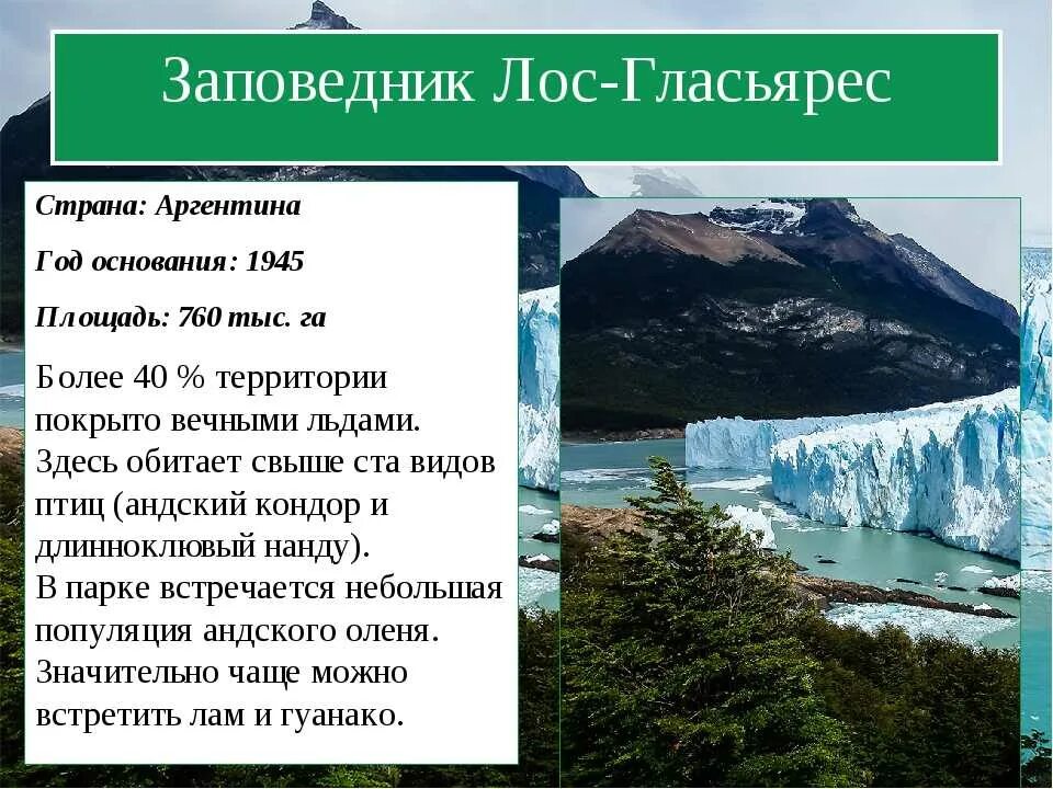 Национальные парки и заповедники северной америки. Парк Лос-Гласьярес Аргентина. Национальные парки и заповедники Южной Америки. Национальные парки Южной Америки презентация. Заповедники Аргентины.