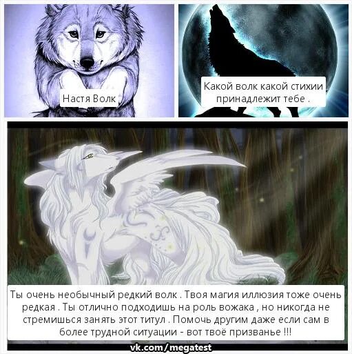 Настя волк войвож. Настя полева снежные волки. Снежные волки настя. Девушка с лицом волка. Настя волков свизи.