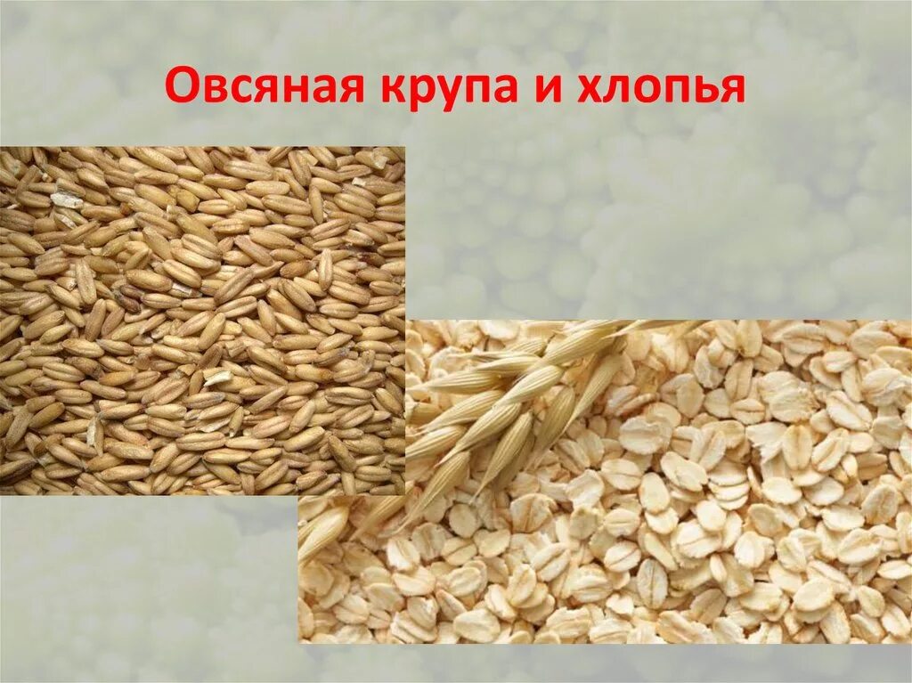 Из чего делают овсянку