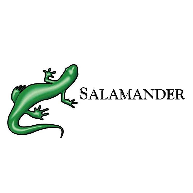Фирма саламандра. Мексиканская амбистома. Саламандра самара. Salamander магазины спб. Salamander фото магазина.