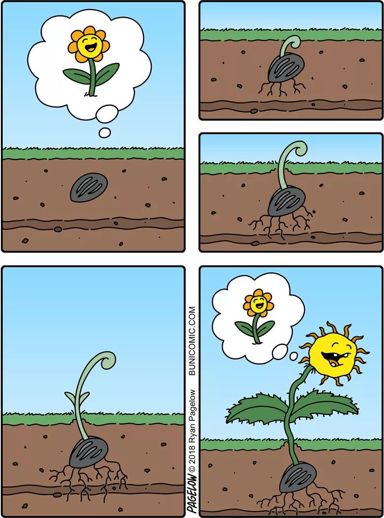 Комикс растения. Комиксы от Райана Пейджлоу. Комикс про цветы. Комиксы про растения. Приколы про растения.