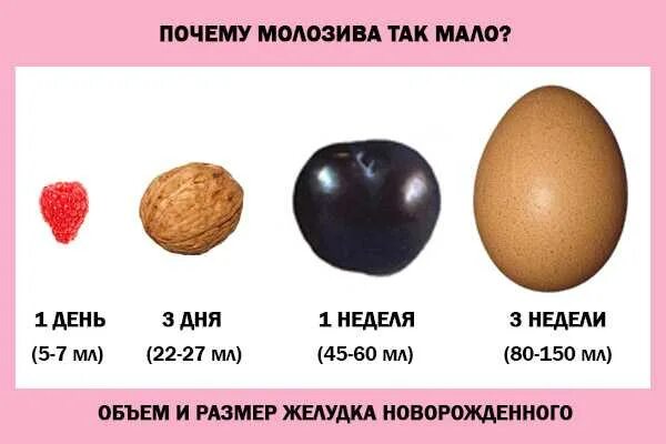 Молозиво перед