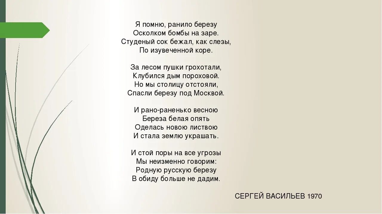 Береза стих о войне. Автор стихотворения береза я помню ранило березу. Стих Васильева белая береза. Белая берёза стих про войну. Стихотворение белая береза я помню ранила березу