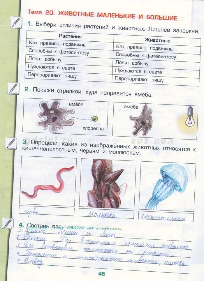 Окружаемый мир 3 класс рабочая тетрадь ответы. Окружающий мир 3 класс рабочая тетрадь 1 часть стр 45 номер 1. Окружающий мир 3 класс рабочая тетрадь 1 часть стр 45 номер 3. Окружающий мир 3 класс вторая часть рабочая тетрадь стр 45. Окружающий мир 3 класс рабочая тетрадь 1 часть стр 45 ответы.