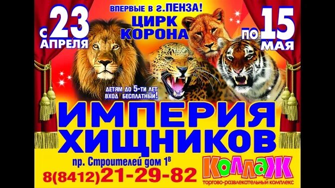 Расписание цирка пенза. Цирк пенза афиша. Расписание цирка пенза. Расписание цирка пенза. Костромской цирк афиша.