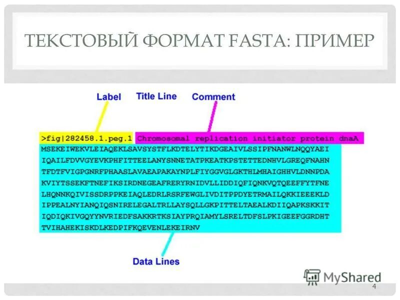 Формат фаста. Fasta Формат. Примеры текстов в формате fasta. Fast Формат. Расширение файла fasta.