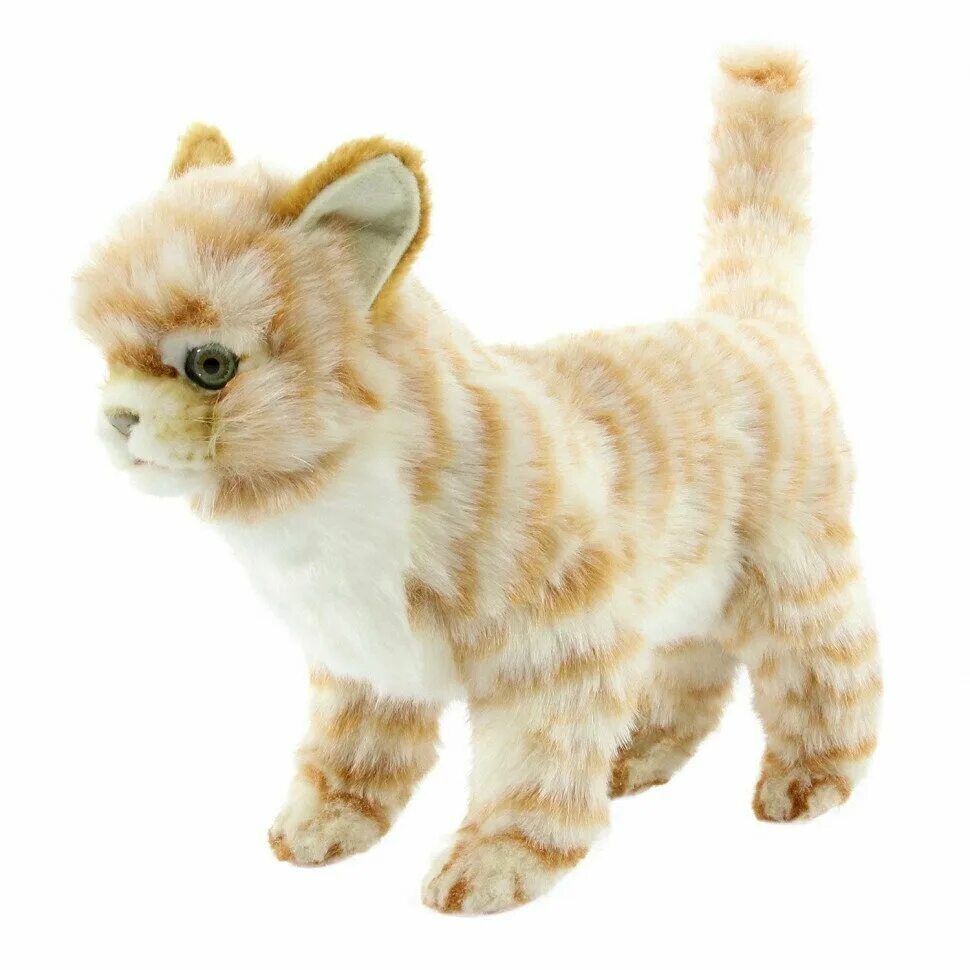 Где купить игрушку кот. Мягкие игрушки Hansa котенок. Hansa котенок рыжий. Мягкая игрушка Hansa котёнок стоящий рыжий 30 см. Hansa котенок стоящий рыжий 6573.