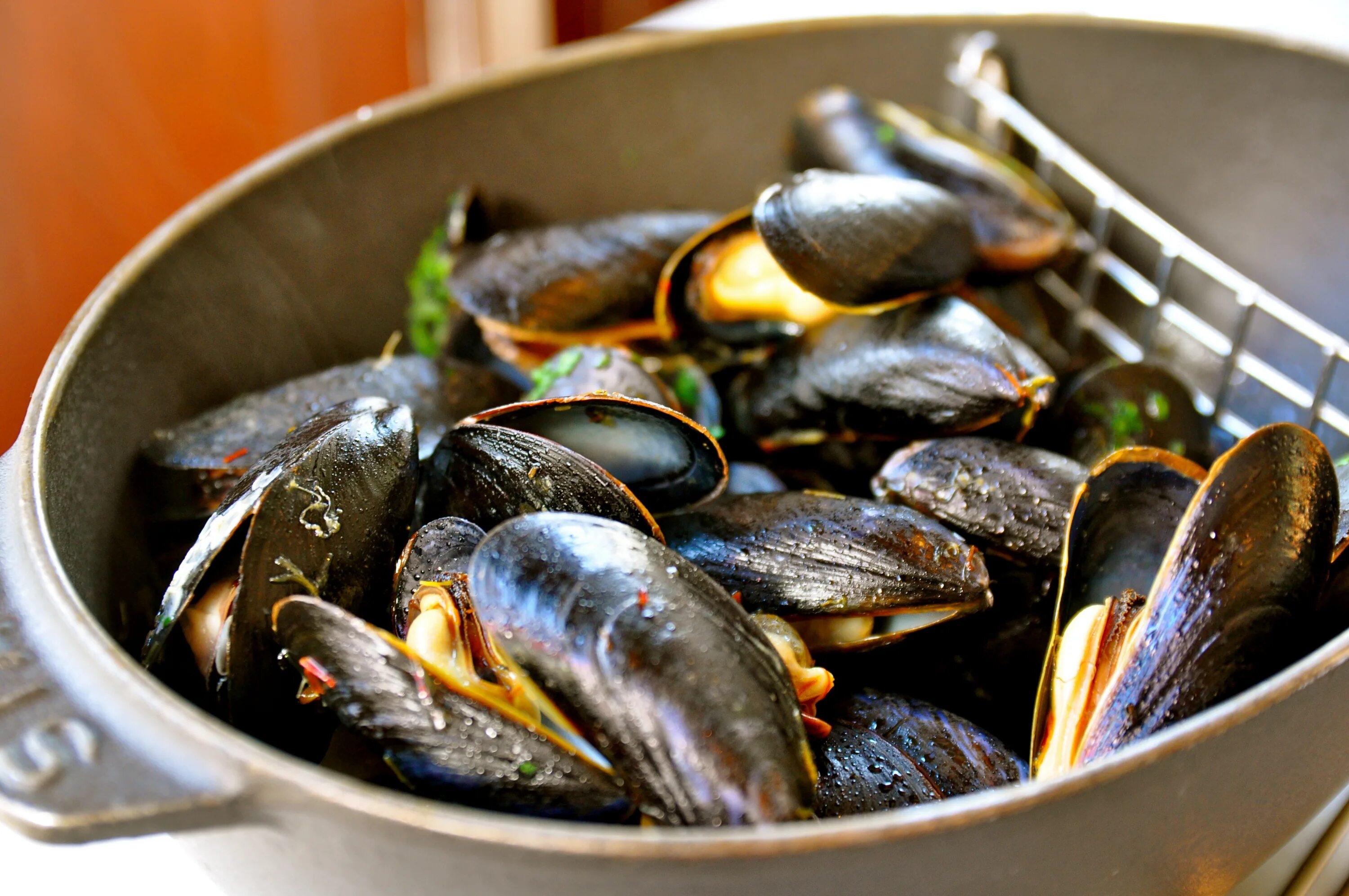 Мидии размеры. Мидии Mussels moules mejillones. Мидии Нормандия. Мидии с волосами. Мидии на рынке.