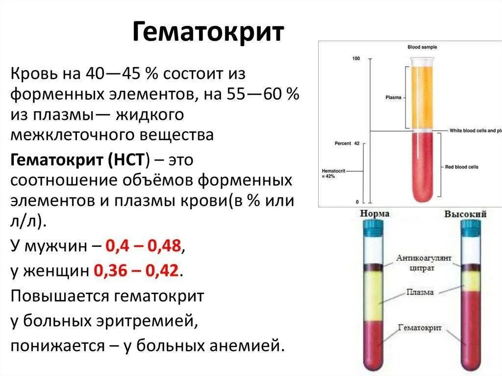 Гематокрит у детей пониженные показатели. Соотношение плазмы и форменных элементов крови. Анализ крови гематокрит повышен. Гематокрит в крови у ребенка нормально.