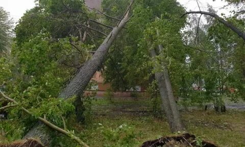 Ветров в архангельске