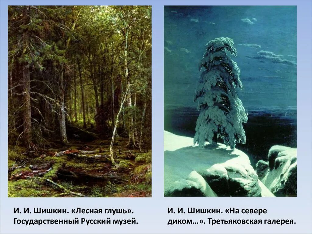 Картина на севере диком. Шишкин Иван«на севере диком...»,1891. Шишкин Иван Иванович на севере диком. Шишкин на севере диком оригинал. Иван Шишкин на севере диком картина.