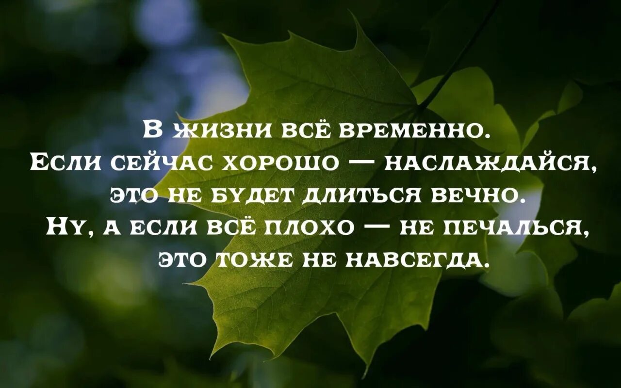 Жить со всеми и для всех. Временно цитаты. Все временно цитаты. В жизни все временно. Всё временно стихи.