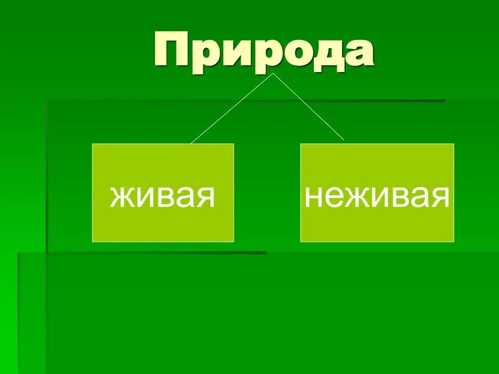 Примеры живых объектов. Живая и неживая природа. Живая природа презентация. Живая и неживая природа 3 класс. Живая природа и неживая природа 3 класс.