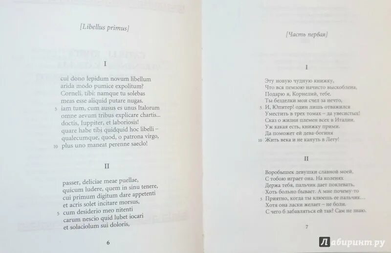 Стихотворения 16 века. Шестнадцатое стихотворение Катулла. Сборник стихов Катулла. Катулл книга.