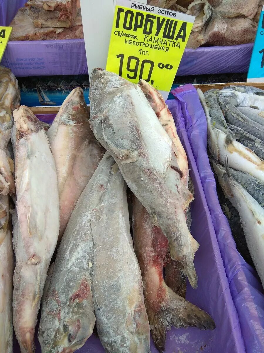 Где купить недорого рыбы. Свежемороженая рыба. Свежезамороженная рыба. Рыба свежемороженая дешевая. Горбуша свежемороженая непотрошеная.