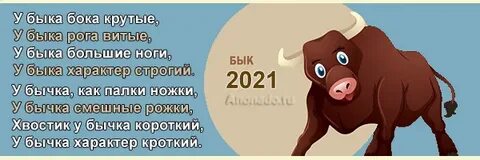 В какие года рождаются быки