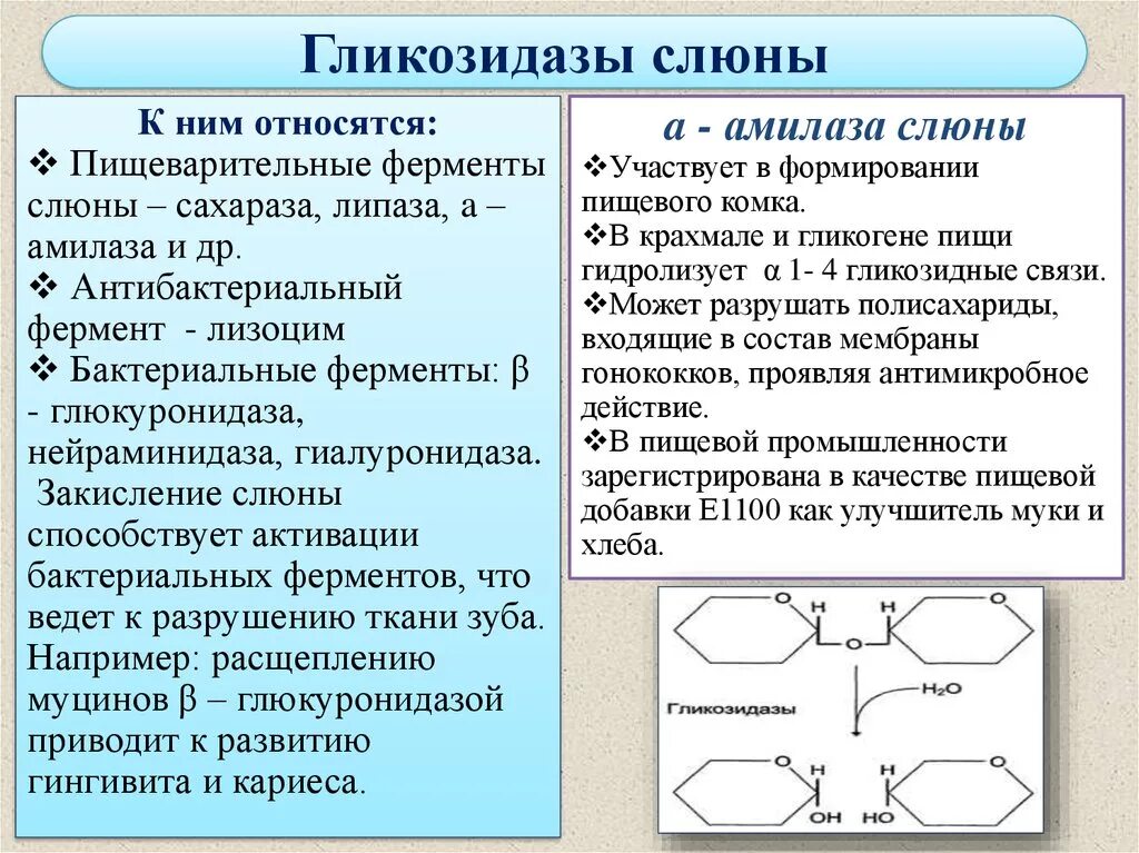 Фермент альфа амилаза. Гликозидазы слюны. Пример реакции гликозидазы. Ферменты гликозидазы в слюне. Амилаза фермент.