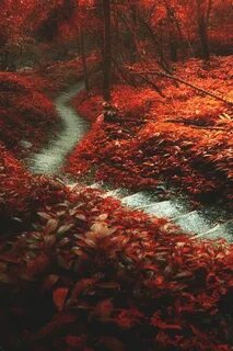 Red path