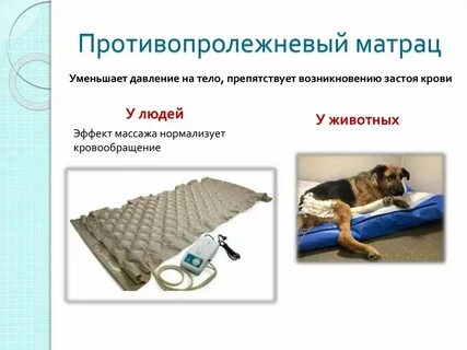 Чем обрабатывают пролежни больному