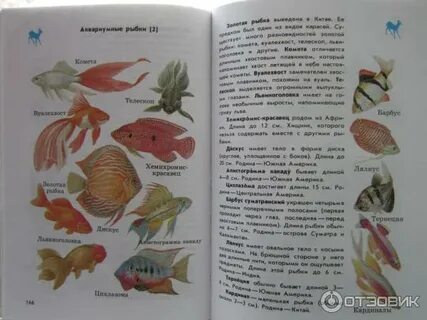 Что такое атлас определитель 2 класс