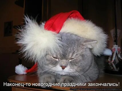 Конец праздника новый год