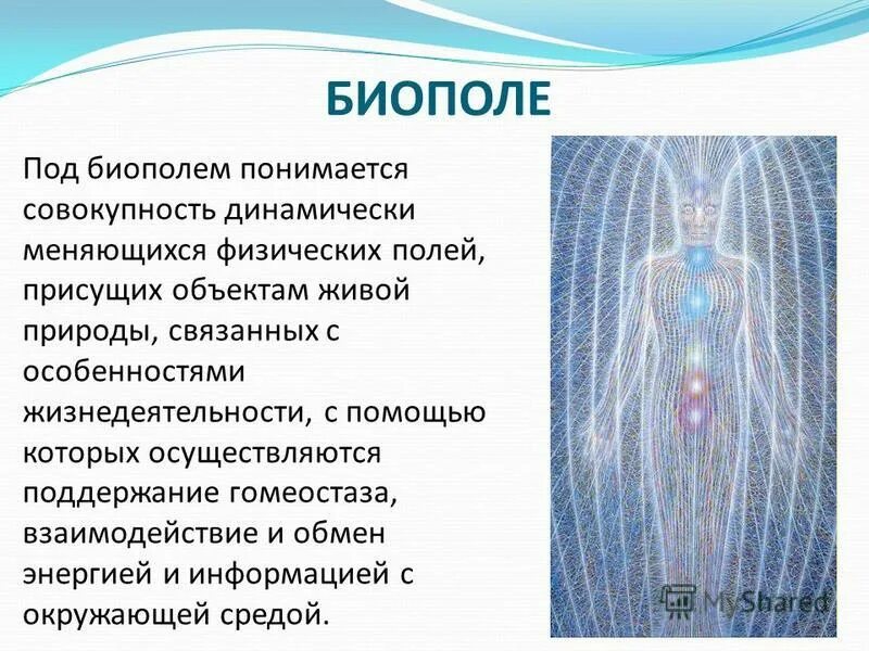 слова биополе