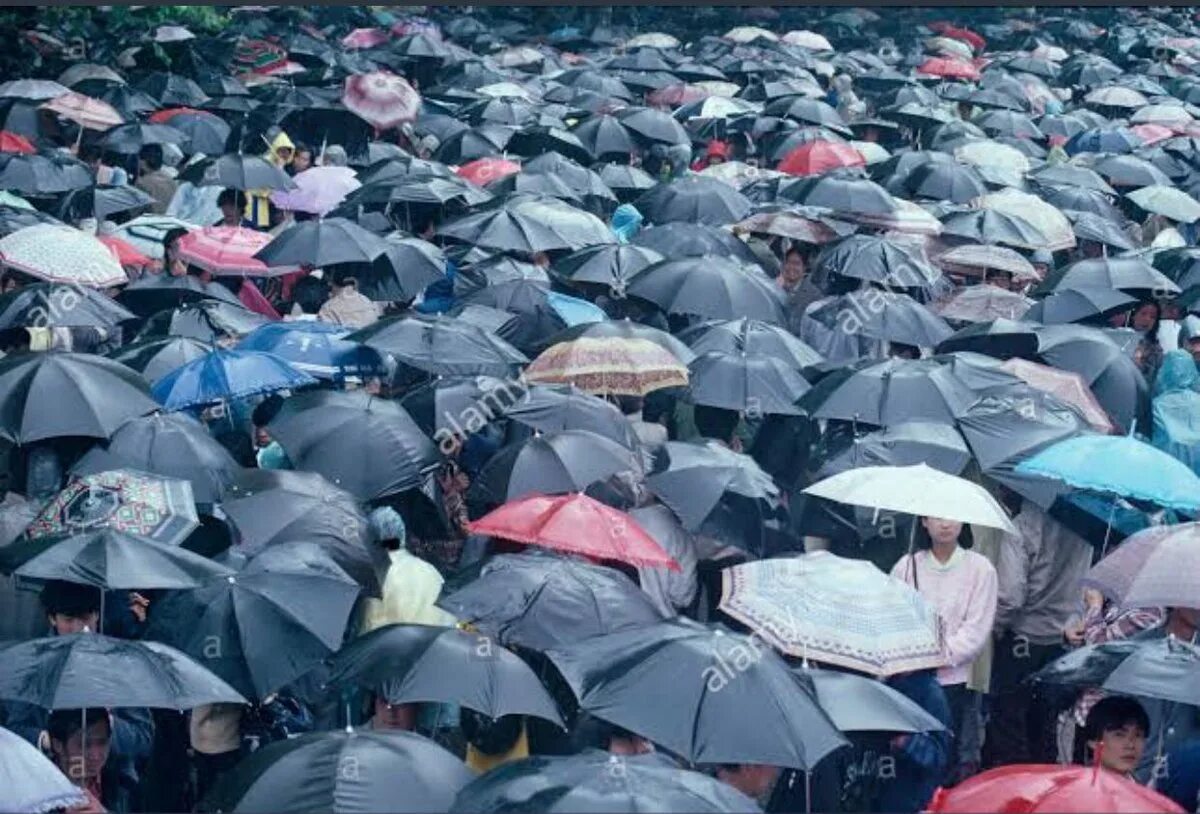 Где идет много дождей. Толпа с зонтами. Человек с зонтом под дождем. Много людей с зонтиками. Толпа с зонтиками.
