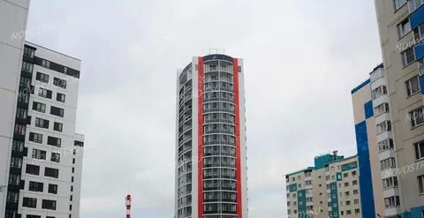 Колтуши 2