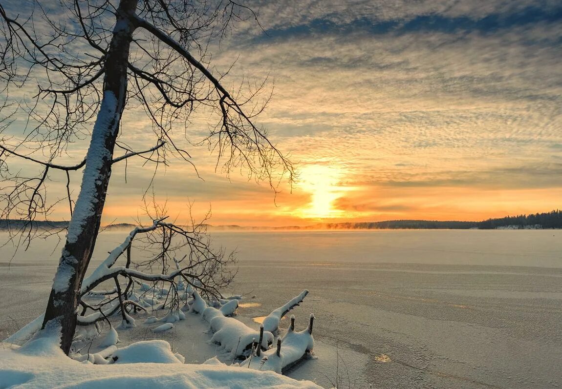 Стихотворение Тютчева декабрьское утро. Зимний рассвет. Зимний Солнечный пейзаж.