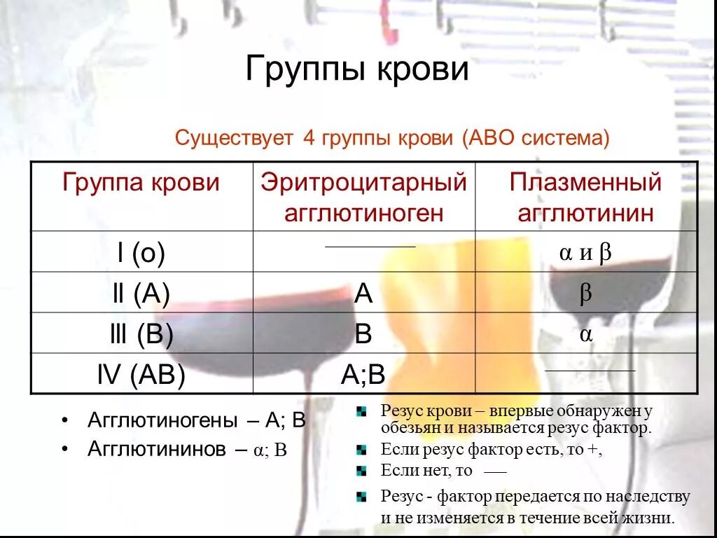 Кровь ab 4