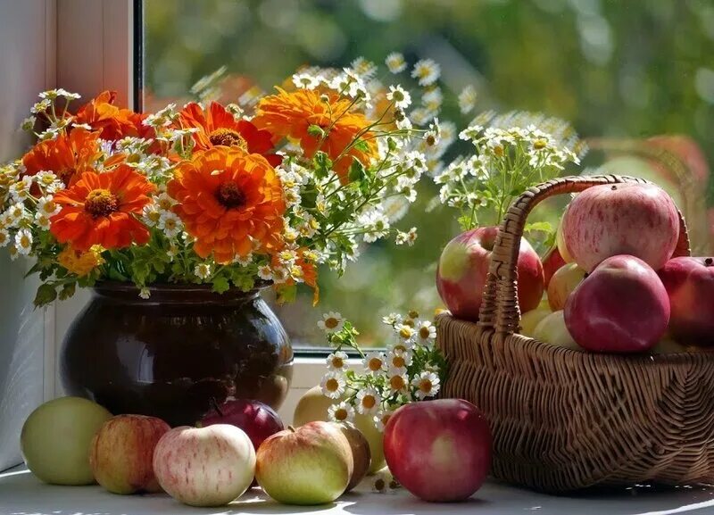 фрукты в корзинке в саду. август яблоки природа. август фото. августовские картинки. август 0.