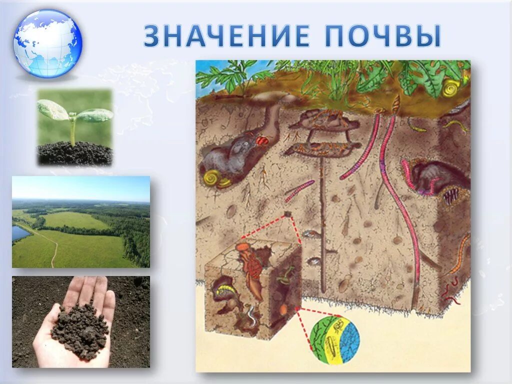 Земля для человека значение. Мир почвы. почва для дошкольников. значение почвы. живая почва.