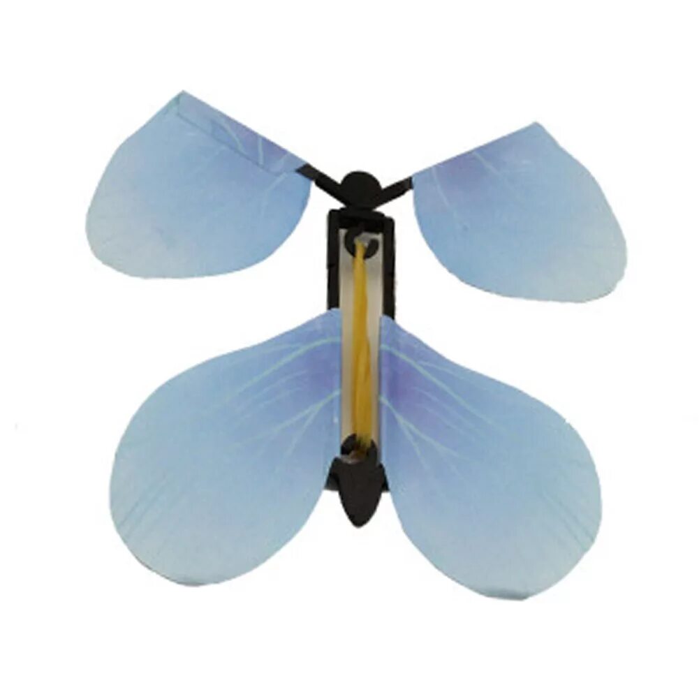 Флай флай баттерфляй. Бабочка блю морфо. Бабочка donuca. Флай флай баттерфляй. Бабочка в полете.