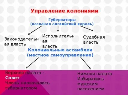 Управление колониями
