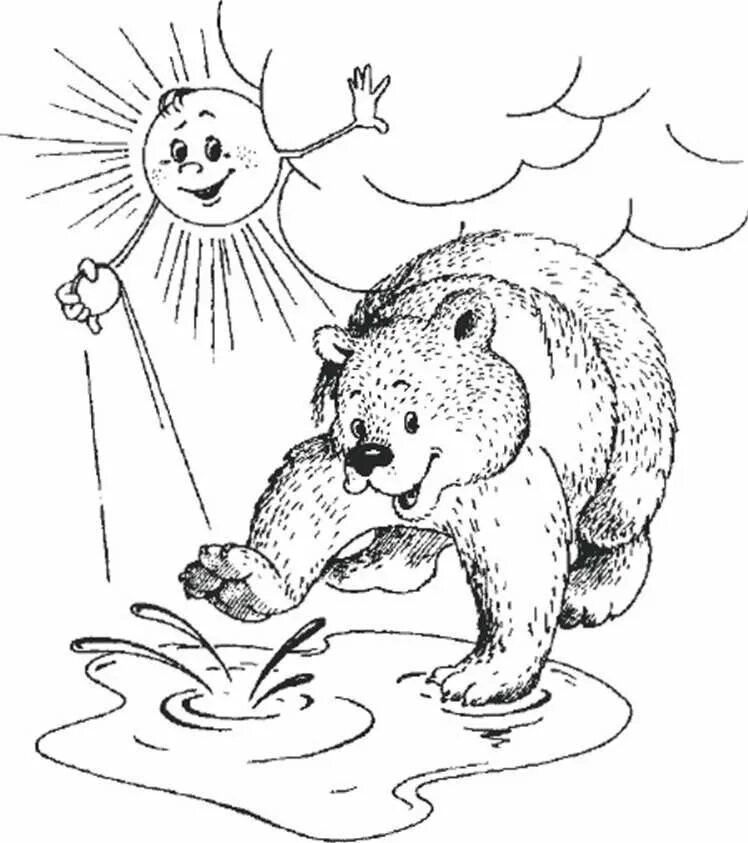 Н сладков медведь и солнце. Медведь и солнце Сладков. Сказка Сладкова медведь и солнце. Сказка медведь и солнце н Сладкова. Медведь и солнце раскраска.
