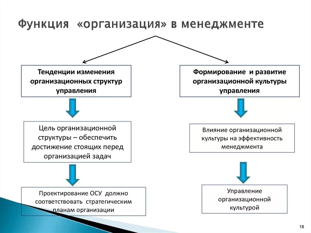 Компанией деятельность компании заключается в. Функция организации в менеджменте. Функция менеджмента организация заключается в. Организационная функция предприятия. Организация как функция менеджмента.