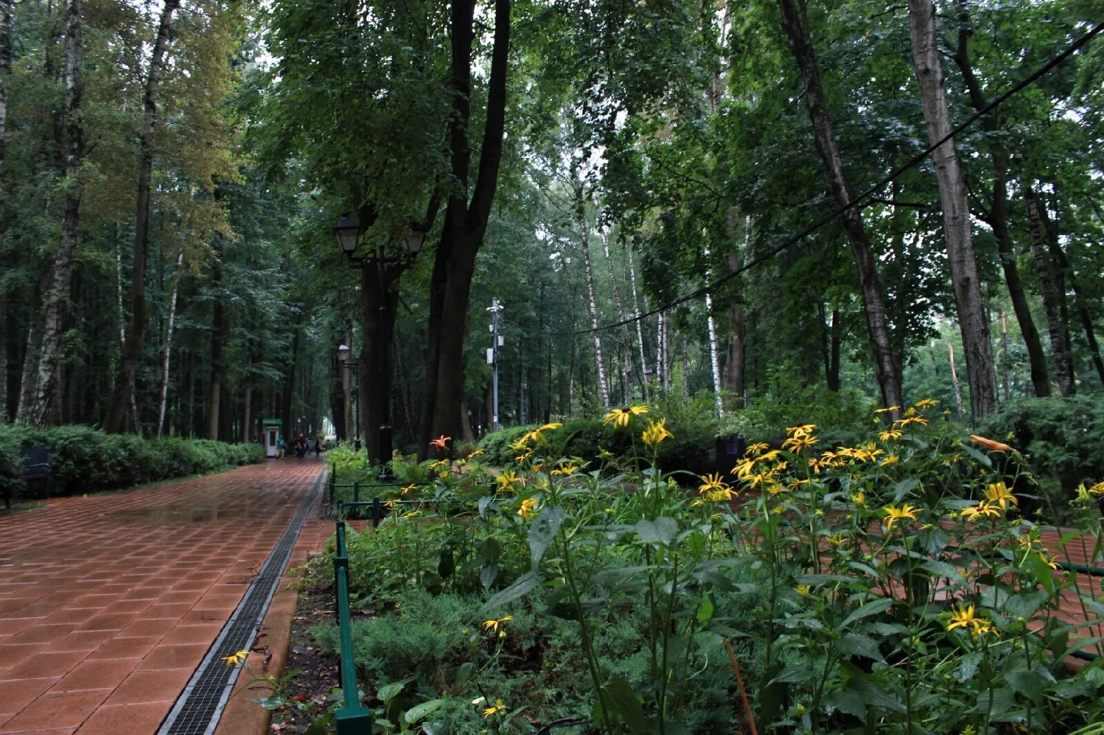 Бабушкинский сад. Бабушкинский парк Москва. Бабушкинский ПКИО. Бабушкинский парк зеленый театр. Парк на Бабушкинской у реки.