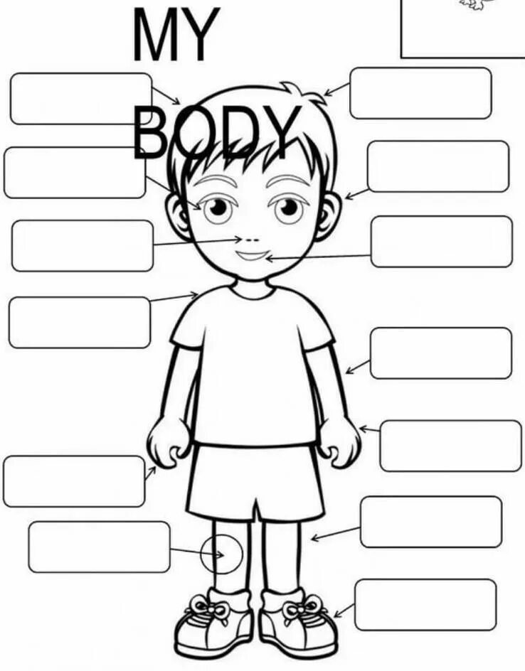 I control my body. Parts of the body worksheets for kids. раскраска на английском для детей.