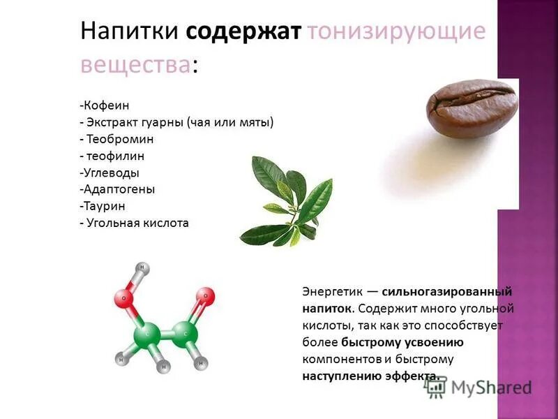Плоды которые содержат много кофеина. Плоды которые содержат много кофеина